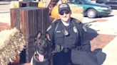K-9 officer Rakka helps Grove City police lick crime