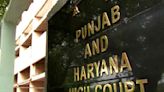 Protecting married people wanting to be in live-in relationships will encourage 'wrongdoers': HC
