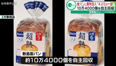 名古屋烘培業者出包！吐司裡混入「老鼠殘骸」 緊急回收約10萬件商品