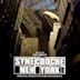 Synecdoche New York [Original Motion Picture Soundtrack]