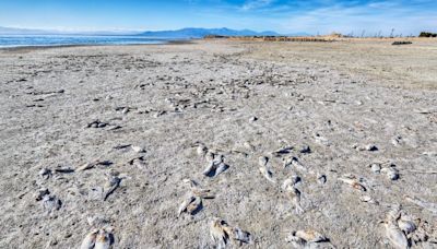 The Salton Sea