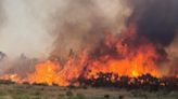 El Parque Natural de Túria ha sufrido medio centenar de incendios en diez años