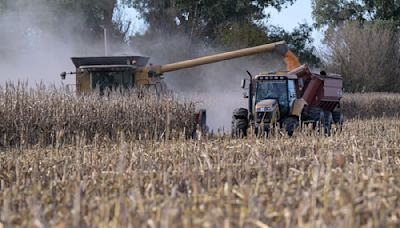 La economía argentina se recupera tras seis meses de caída, ¿ya pasó lo peor?