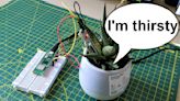 How To Monitor Your Houseplants With Raspberry Pi Pico W and Telegram