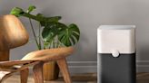 You Can Get a Brand Name Air Purifier on Amazon for Cheaper Than You Think