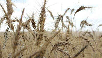 Australian weather bureau forecasts wet months after dry June