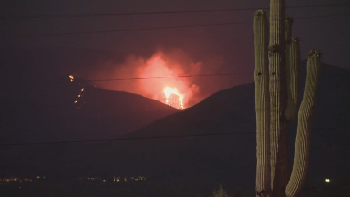 Apache Junction working to address invasive species to help reduce wildfires