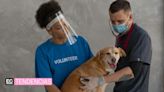 En el Día Mundial del Veterinario reconocemos la labor de los cuidadores de los ‘peludos’