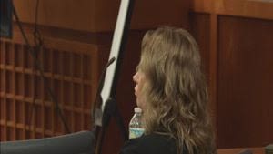 ‘She had a gun:’ attempt to cast Shaver husband as violent abuser backfires in court