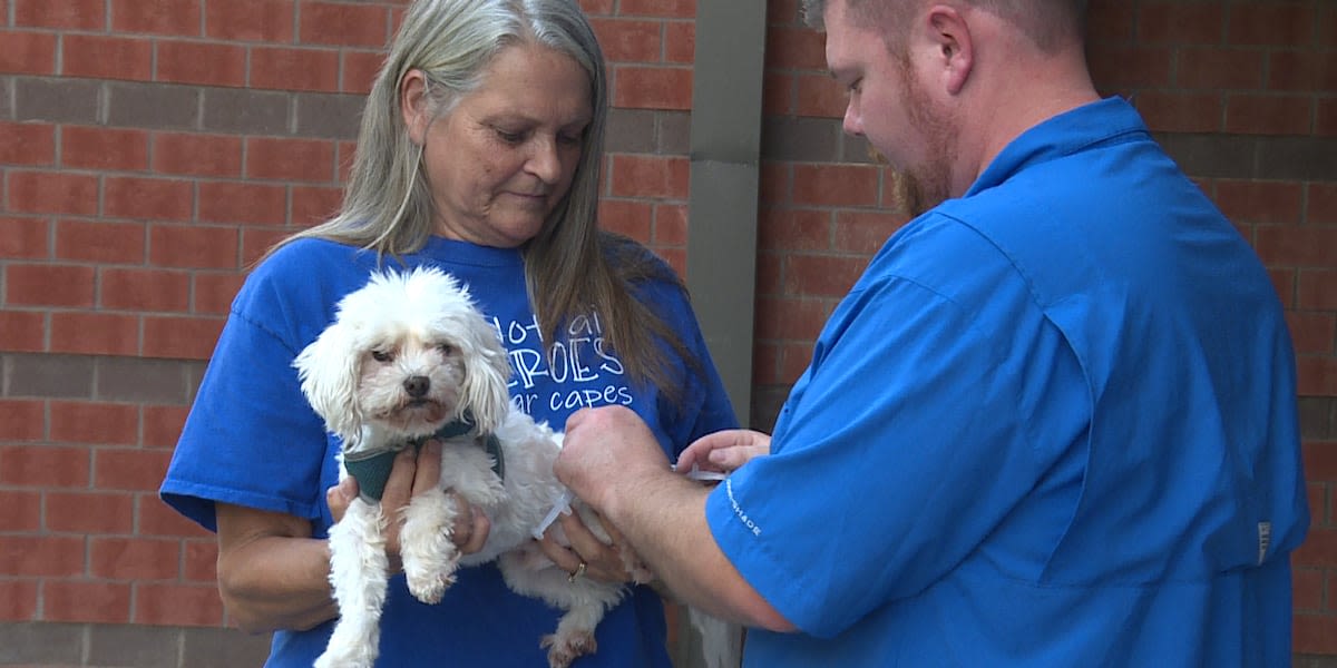 Clinton County Health Department hosts free rabies vaccine clinic