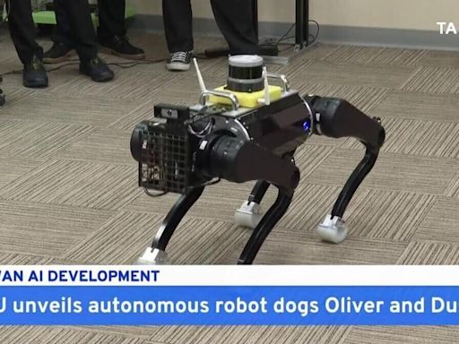 National Taiwan University Team Unveils Autonomous Robot Dogs - TaiwanPlus News