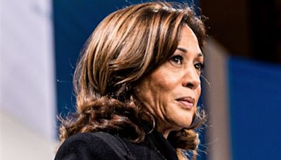 Majority of Wisconsin delegates endorse Kamala Harris for president