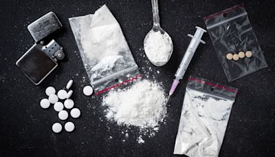 Drugs Worth Rs 9 Crore Seized In Assam, 1 Peddler Arrested