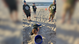 Volunteers safely relocate 113 sea turtle eggs from Myrtle Beach State Park