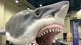 Sharks exhibit at Peoria Riverfront Museum has wow factor with life-sized Megalodon
