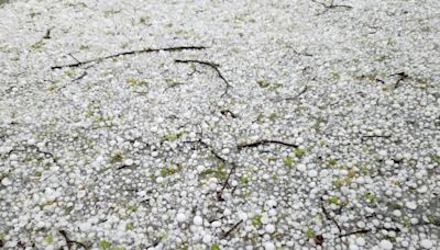 How big was hail from severe storms in central Ohio?