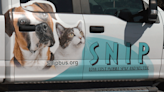 46 dogs, cats spayed and neutered at SNIP mobile clinic in east Bakersfield