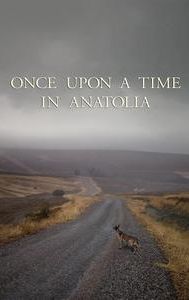 Once Upon A Time in Anatolia