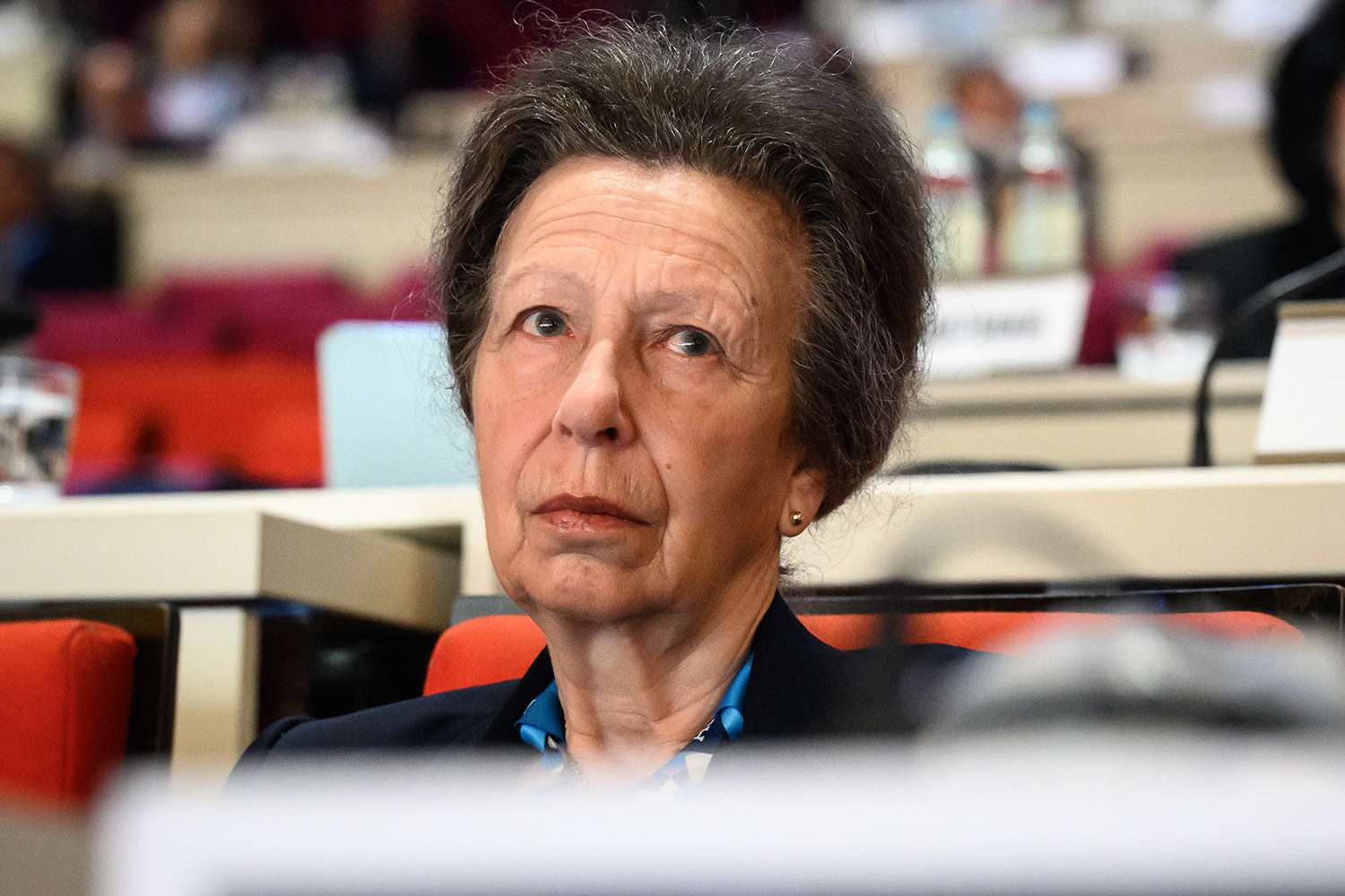 Princess Anne Flies to Paris for Olympic Meeting in Her First Trip Abroad Since Hospitalization