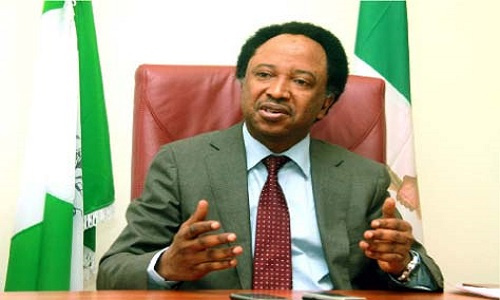 Shehu-Sani