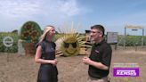 Sunflower Maze Attraction | Great Day SA