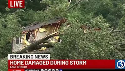 Powerful storms bring trees and limbs down causing