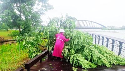 颱風過後故宮南院僅樹木傾倒 27日恢復營運