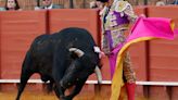 La plaza de toros de Sevilla invita a menores en una iniciativa criticada por animalistas