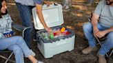 The best coolers for camping in 2024