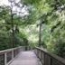 Bluebonnet Swamp Nature Center