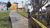 Mató con un hacha a un perrito frente a jardín infantil de Ancud: fue detenido y dice que no sabe por qué lo hizo