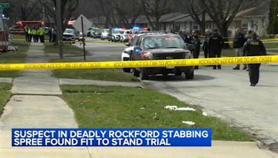 Man found fit to go on trial in stabbing, beating attacks that killed 4, injured 7 in Rockford