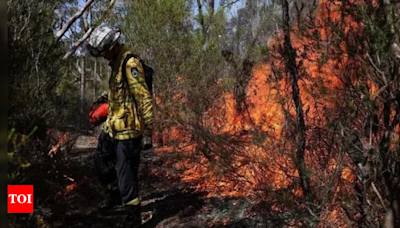 6 firefighters have died battling a bushfire in South Africa after storms batter other areas - Times of India