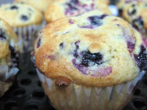 Huckleberry Muffins | Flickr - Photo Sharing!