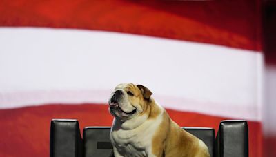 Jim Justice’s Babydog steals show on second night of Republican convention