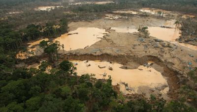 Embajador del Reino Unido denuncia devastación de la Amazonía por minería ilegal en Perú