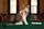 Chief Mouser to the Cabinet Office