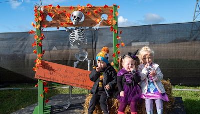 Halloween 2024 events near you: Welsh pumpkin patches, scare mazes and more you can book now