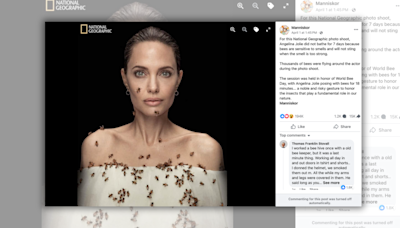 Fact Check: Internet Abuzz That Angelina Jolie Didn't Bathe for 7 Days Before Posing in Photo Shoot with Live Bees