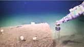 Pesticides found in deep-sea fish off LA coast: Scripps, SDSU researchers