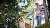 Global Screen Boards Sales On ‘Lassie – A New Adventure’, Releases First Image Ahead Of AFM