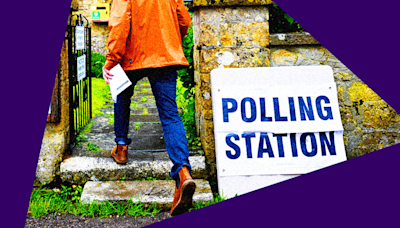 Selfies, dogs and drinking: What can't you do in a polling station?