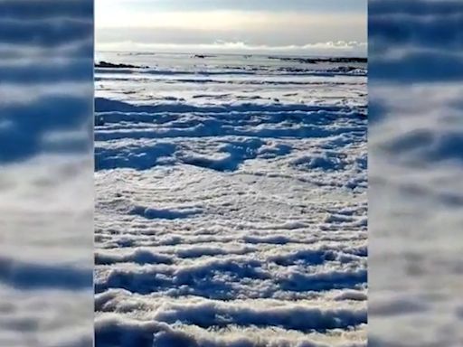 Impresionante imagen del mar completamente helado por la combinación de varios fenómenos meteorológicos - ELMUNDOTV