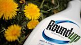 UPDATE 3-US appeals court finds Bayer not shielded from Roundup lawsuit