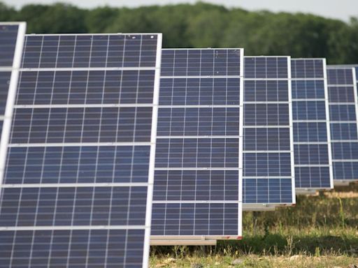 Concerns controversial solar farm could hit Cambs taxpayers in the pocket