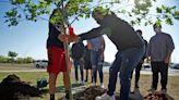 San Angelo schools receive 200 trees from Apache Corporation Tree Grant Program