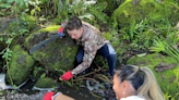 Community fights invasive species along the Makiki Stream