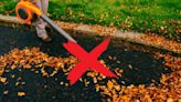 Blowing leaves in NJ? Potential fines range from $25 to $1,000