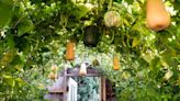 How to Grow Squash Vertically to Save Space