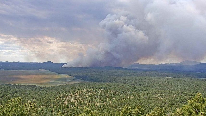 Bravo Fire burns 1,000 acres, prompts possible evacuations west of Flagstaff